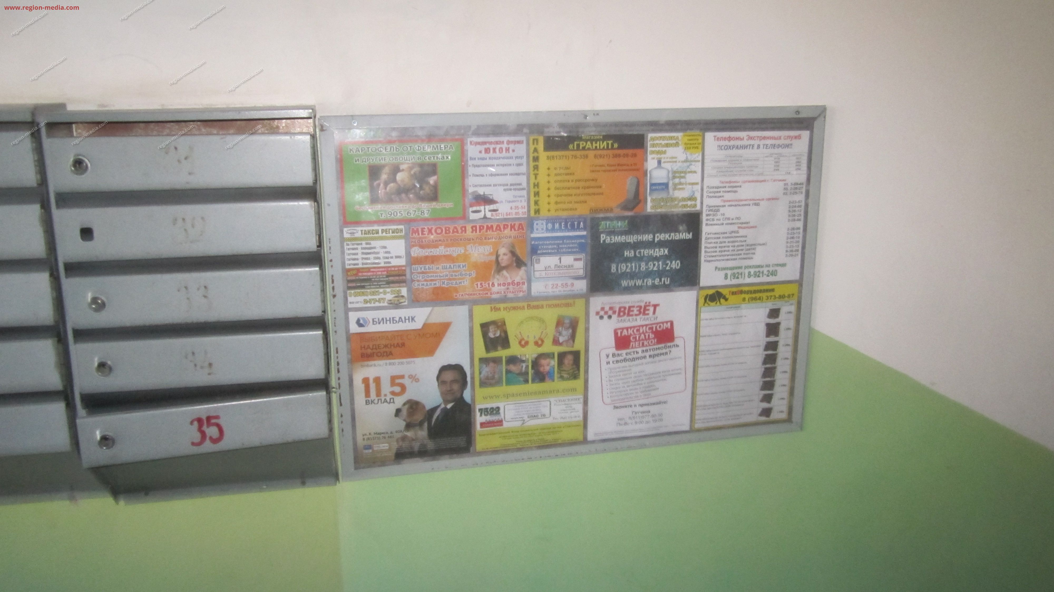 Размещение рекламы в подъезде компании "Бинбанк" в городе гатчина