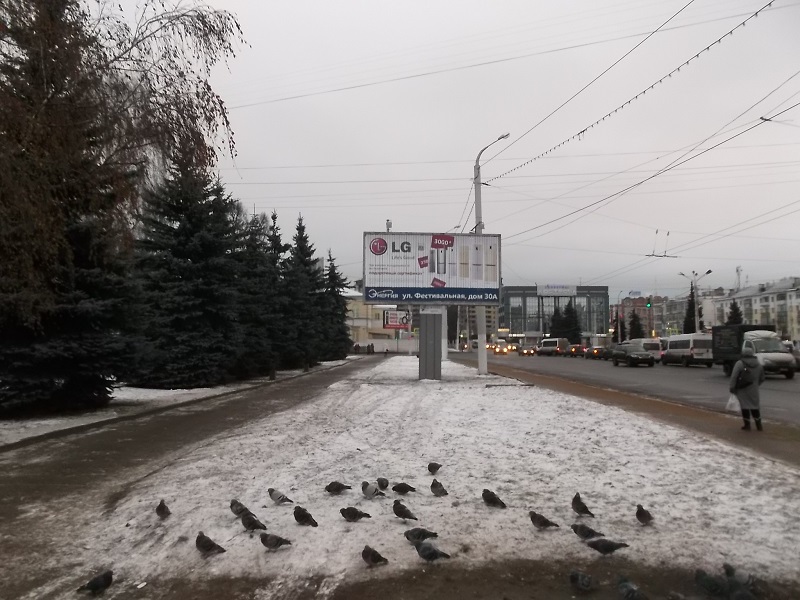 Размещение рекламы  компании "Техмаркет" на щитах 3х6 в городе Кострома