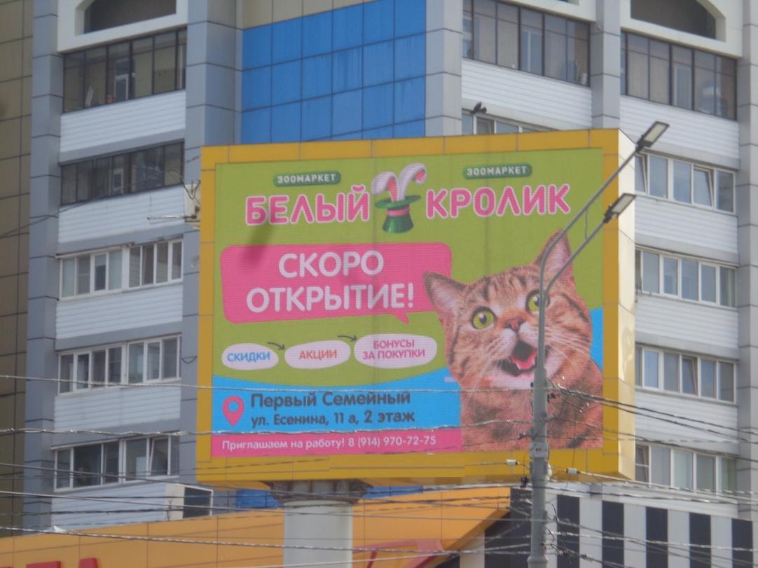 Размещение рекламы компании "Белый кролик" на видеоэкранах в Южно-Сахалинске