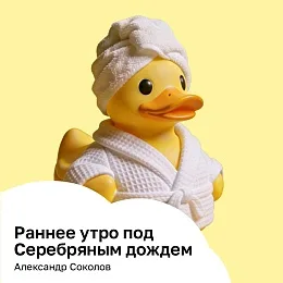 Серебряный дождь