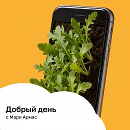 Серебряный дождь