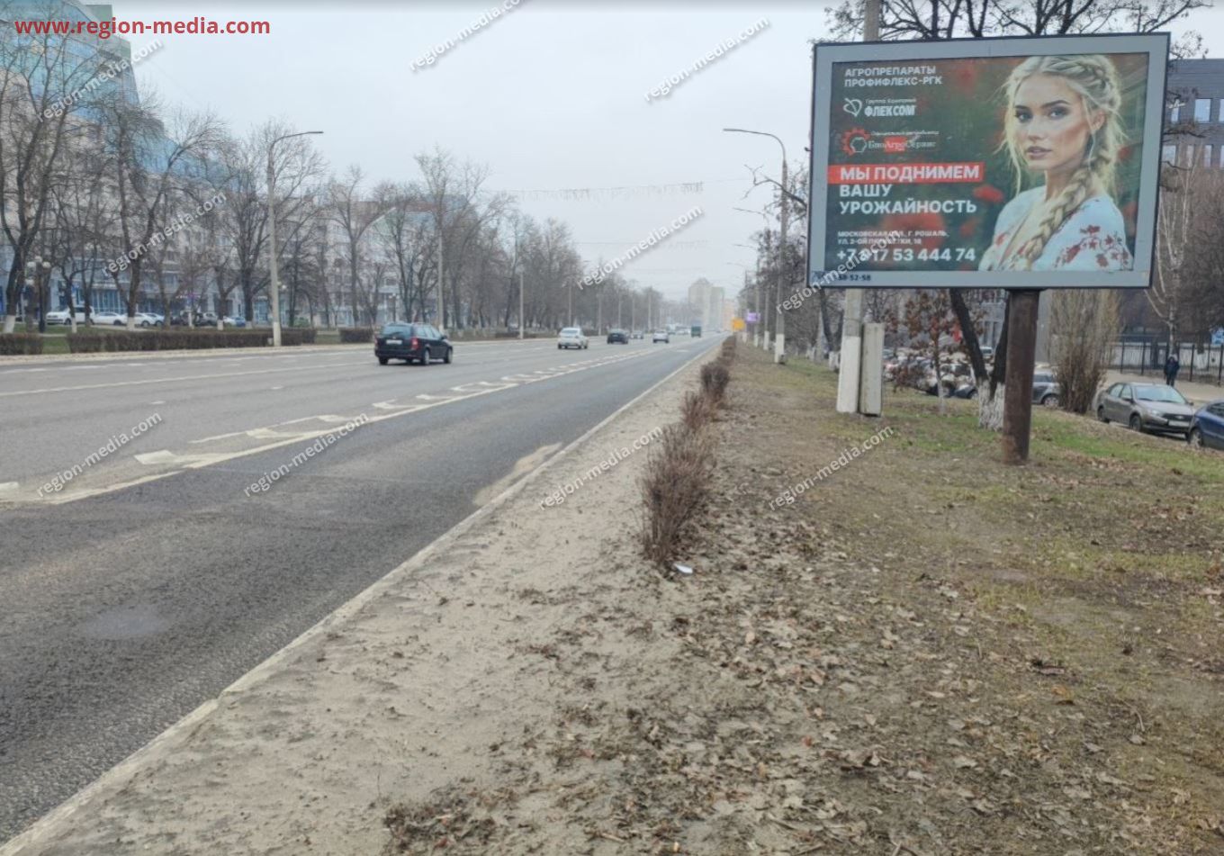 Размещение рекламы компании «Мираторг» на ситибордах в городе Белгород