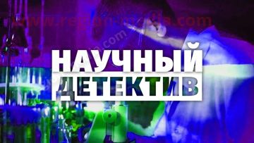 Звезда ТV
