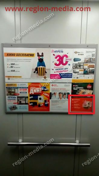 Размещение рекламы в лифтах компании "PetshopRu" в городе Ярославль